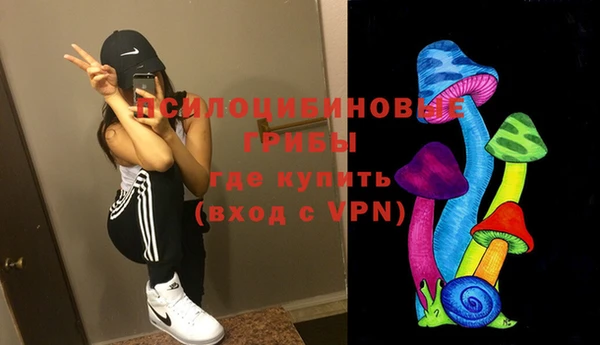 2c-b Богородицк