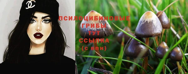 PSILOCYBIN Богданович