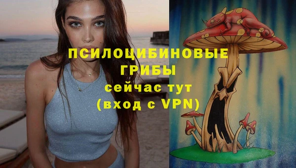 PSILOCYBIN Богданович