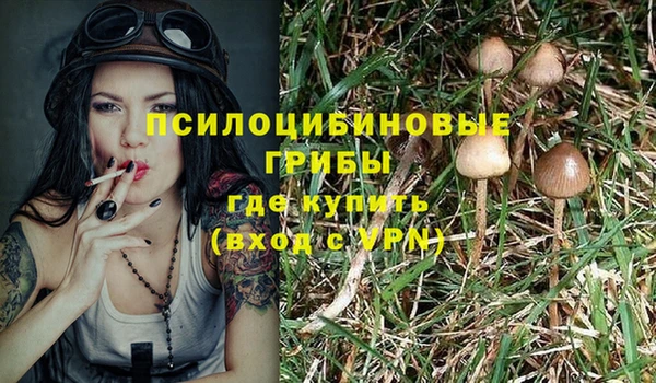 PSILOCYBIN Богданович